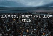 上海中财属于a类期货公司吗，上海中财实业