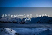 期货玉米1803什么意思，玉米期货2101合约