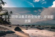 期货公司非法集资自查报告，非法期货案