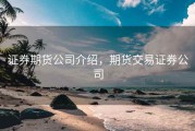 证券期货公司介绍，期货交易证券公司