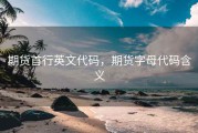 期货首行英文代码，期货字母代码含义