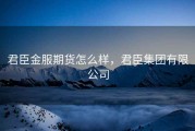 君臣金服期货怎么样，君臣集团有限公司