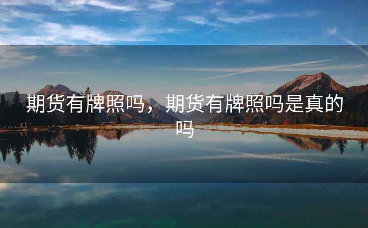 期货有牌照吗，期货有牌照吗是真的吗