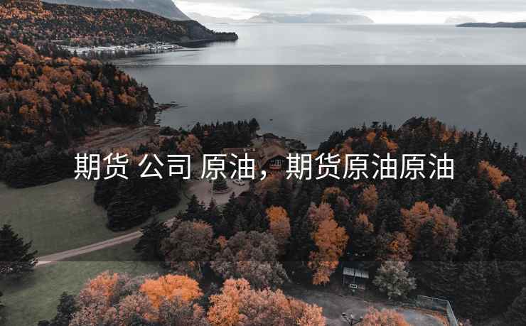 期货 公司 原油，期货原油原油