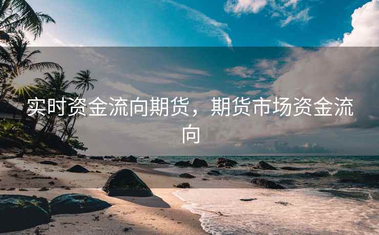 实时资金流向期货，期货市场资金流向