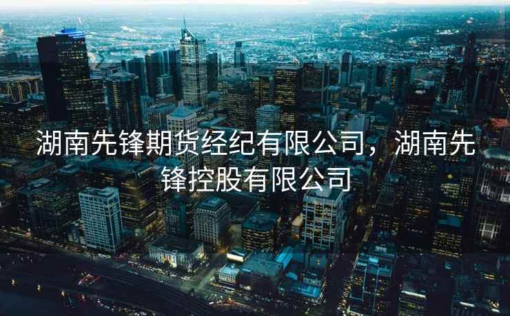 湖南先锋期货经纪有限公司，湖南先锋控股有限公司