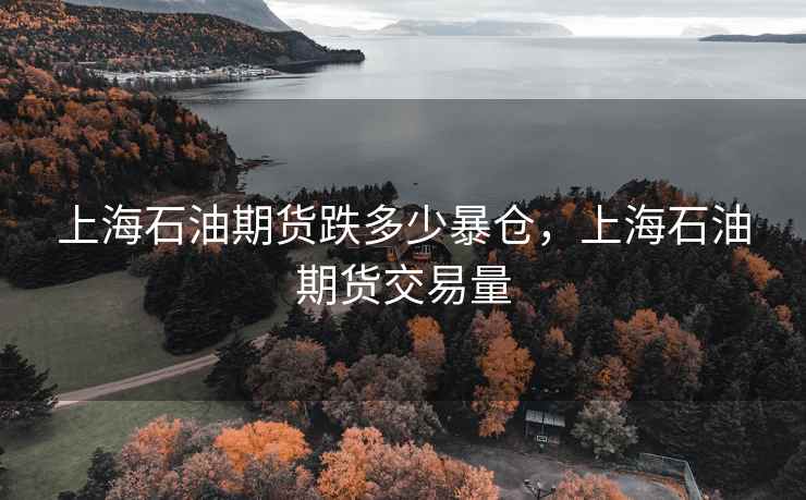 上海石油期货跌多少暴仓，上海石油期货交易量