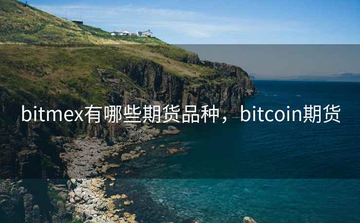 bitmex有哪些期货品种，bitcoin期货