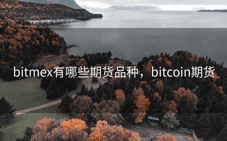 bitmex有哪些期货品种，bitcoin期货