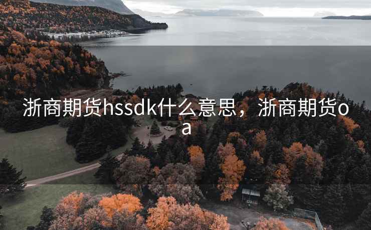 浙商期货hssdk什么意思，浙商期货oa