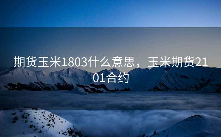 期货玉米1803什么意思，玉米期货2101合约