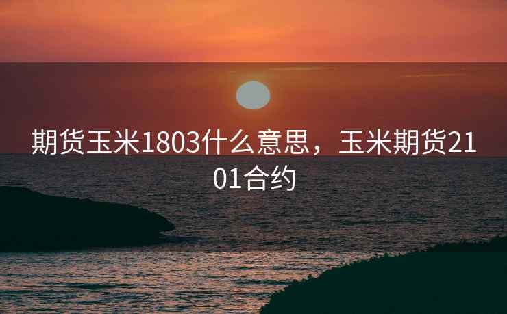 期货玉米1803什么意思，玉米期货2101合约